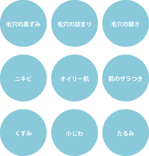 毛穴の黒ずみ 毛穴の詰まり 毛穴の開き ニキビ オイリー肌 肌のザラつき くすみ 小じわ たるみ